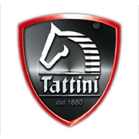 TATTINI