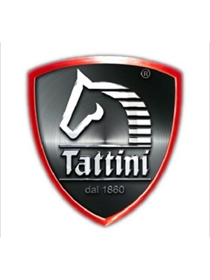 TATTINI