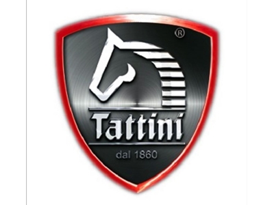 TATTINI